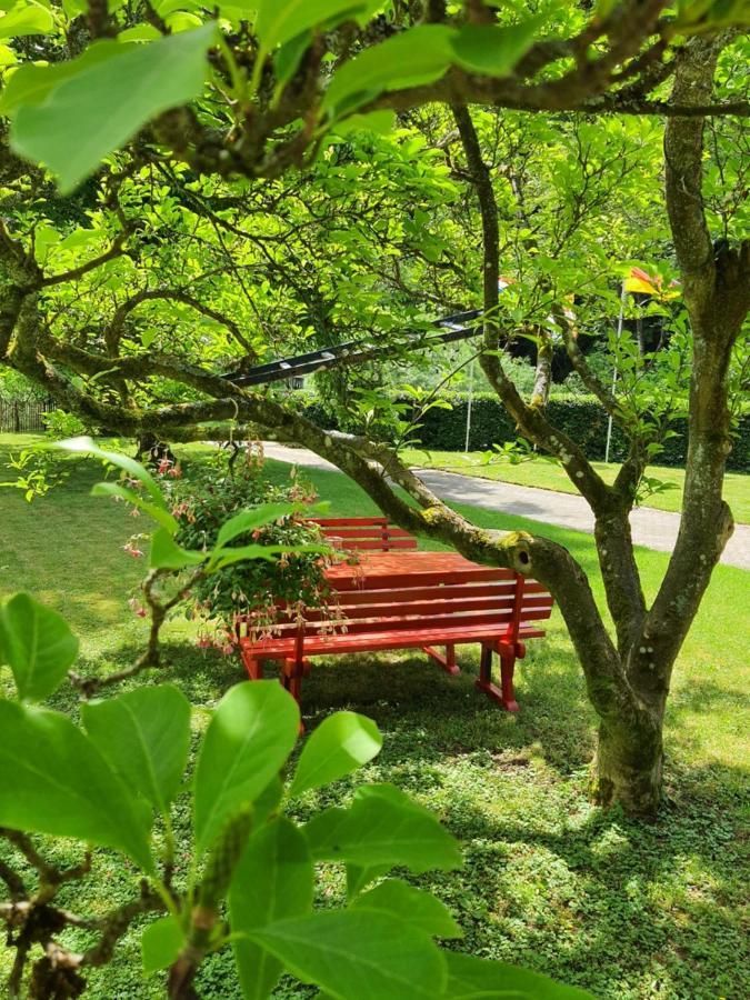 B&B Am Sahrbach Altenahr Luaran gambar
